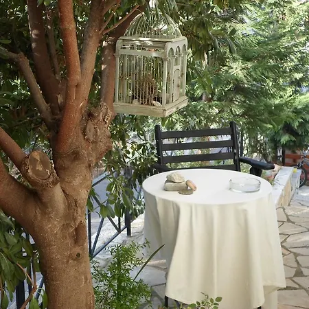 Arcadian & * Xiropigado