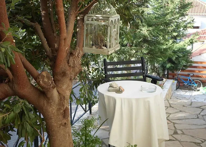 Arcadian & * Xiropigado