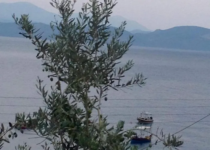 Arcadian & * Xiropígado